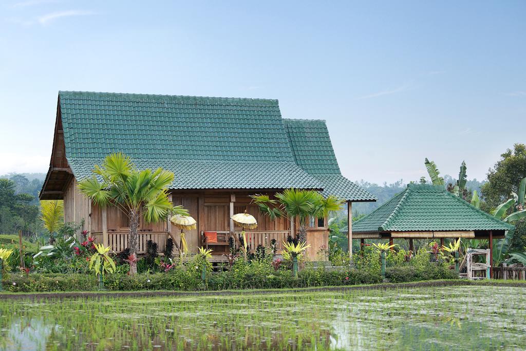 Ti Amo Bali Hotel Jatiluwih Exterior photo